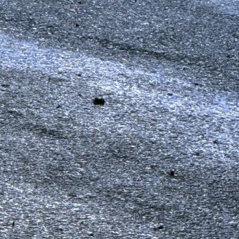Next Level Concrete Coatings - Cracks and different finishes - Flooring Near Me - Plainville, Massachusetts Next Level Concrete Coatings - Cracks and different finishes - Flooring Near Me - Plainville, Massachusetts