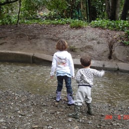 Skipping rocks in Adobe Creek at Shoup Park.