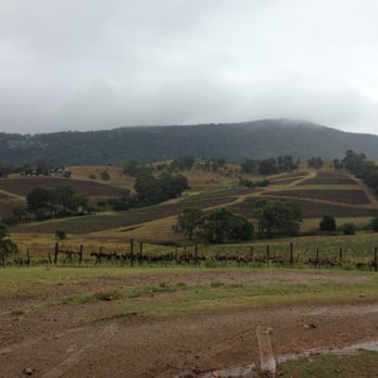 Mount View Estate - Wineries Near Me - Mount View, NSW