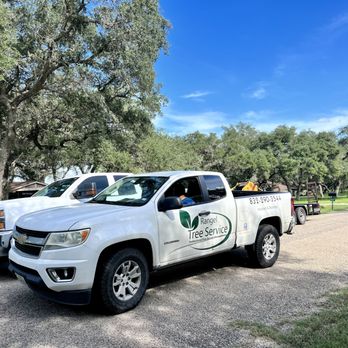 Rangel Tree Service - a white truck parked in a parking lot - Tree Services Near Me - Brookshire, Texas Rangel Tree Service - a white truck parked in a parking lot - Tree Services Near Me - Brookshire, Texas