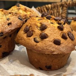 Bagel Cafe - Muffin