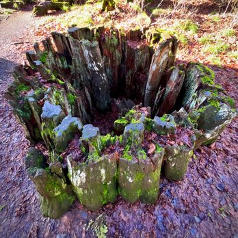Madison Falls - Giant tree stump the trailhead! - Landmarks & Historical Buildings Near Me - Port Angeles, Washington Madison Falls - Giant tree stump the trailhead! - Landmarks & Historical Buildings Near Me - Port Angeles, Washington