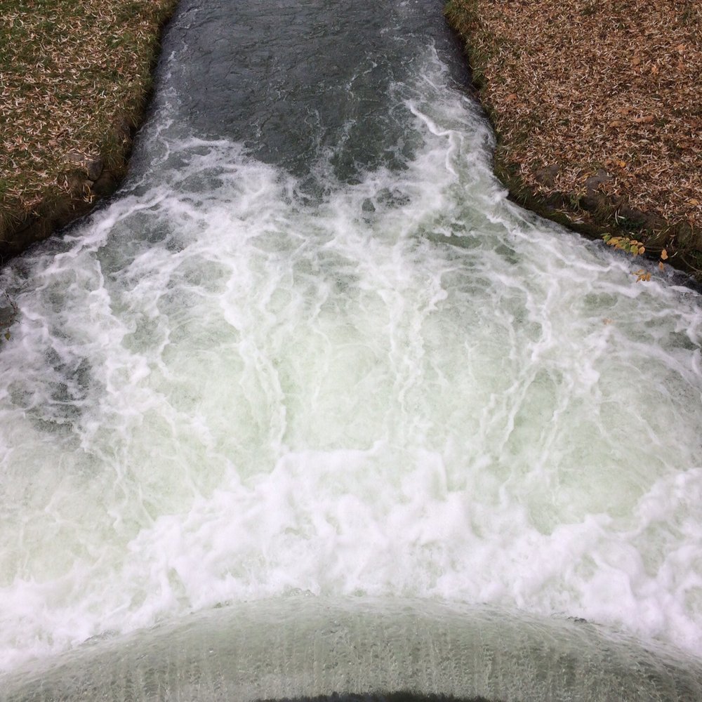 Englischer Garten - English Garden, 1 December 2016 - Parks Near Me - Munich, BY Englischer Garten - English Garden, 1 December 2016 - Parks Near Me - Munich, BY