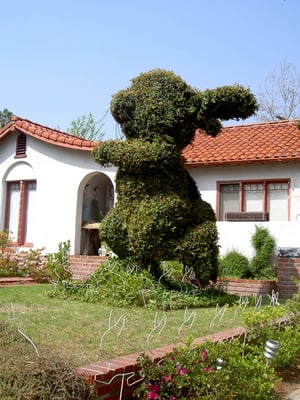 The Bunny Museum by null