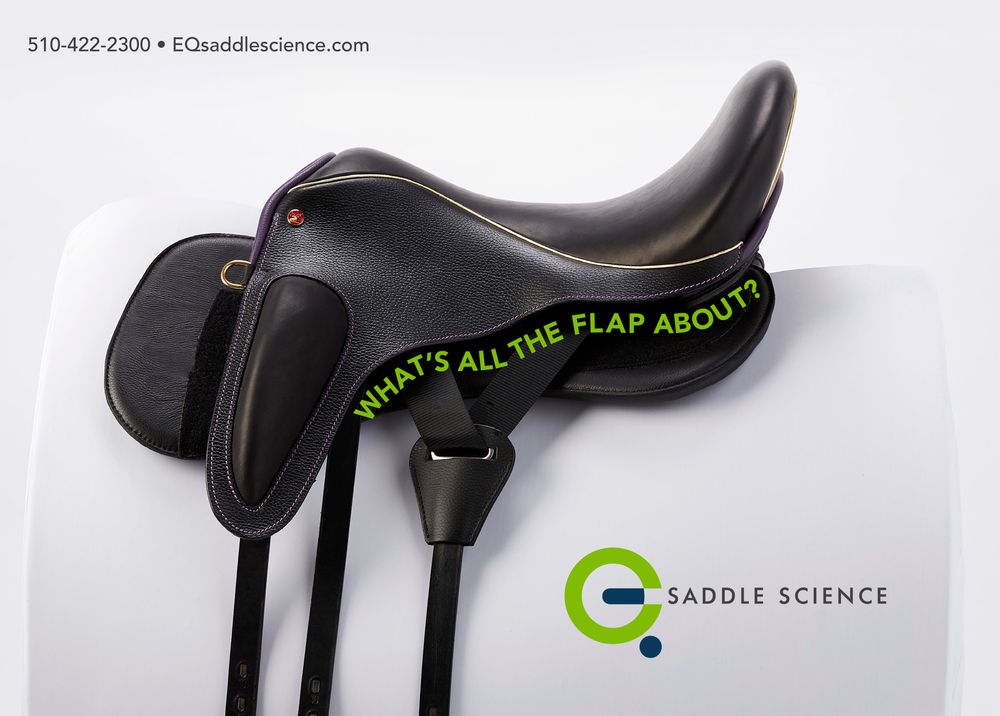 EQ SADDLE SCIENCE Updated June 2024 346 Rheem Blvd, Moraga