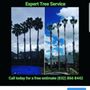 Photo of Expert Plus Tree Service