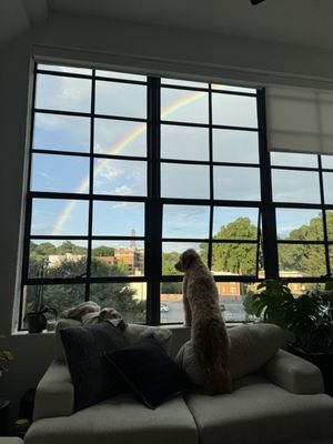 Ford Factory Lofts by null