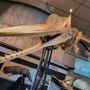 Photo of Whaling Museum