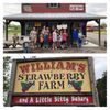 Williams Strawberry Farm gift card