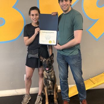 IB K9 - A woman and a man stand together, holding a certificate of completion, with a German Shepherd dog sitting in front of them. The background features a colorful wall with large yellow and blue shapes. - Pet Training Near Me - Mesa, Arizona