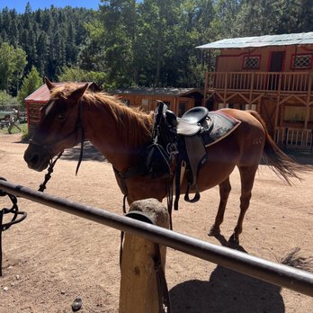 Old Stage Riding Stables - JJ - Vacation Rentals Near Me - Colorado Springs, Colorado Old Stage Riding Stables - JJ - Vacation Rentals Near Me - Colorado Springs, Colorado