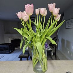 Angel Place Assisted Living Homes