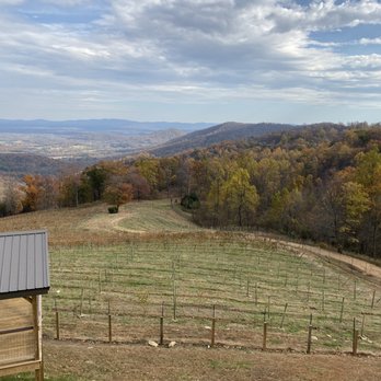 Stone Mountain Vineyards - What a view!! - Wineries Near Me - Dyke, Virginia