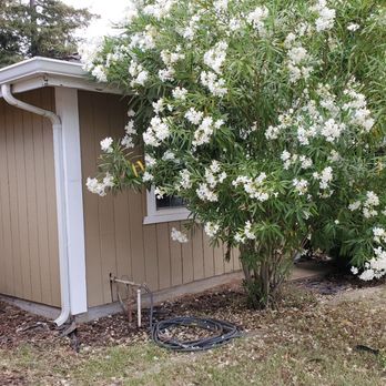 EG Tree Service - Tree Services Near Me EG Tree Service - Tree Services Near Me