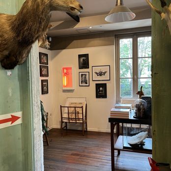 Deyrolle - Home Decor Near Me - Paris, 75 Deyrolle - Home Decor Near Me - Paris, 75