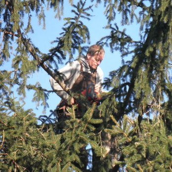 Arentz General Services - a man in a tree - Landscaping Near Me Arentz General Services - a man in a tree - Landscaping Near Me