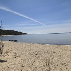 Maple Bay Natural Area