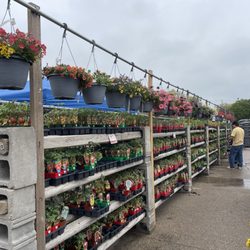 Westlake Ace Hardware - Garden center