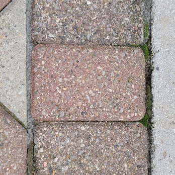 Max Design Construction & Scenescape - Still moss.  Numerous other spots - Landscaping Near Me - Macomb, Michigan