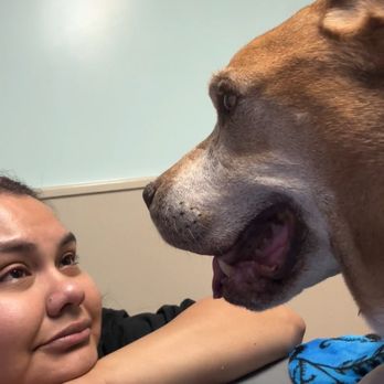 Orange County Emergency Pet Clinic - The last selfie - Emergency Pet Hospital Near Me - Fullerton, California