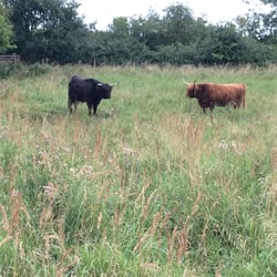 National Trust: Wicken Fen National Nature Reserve