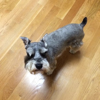 PetSmart - Pet Groomers Near Me - Westminster, Colorado PetSmart - Pet Groomers Near Me - Westminster, Colorado