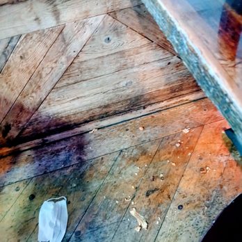 Babe's Old Fashioned Food - Dirty greasy floors. Dirty face mask. Black mold. Mildew. - Burgers Near Me - San Antonio, Texas Babe's Old Fashioned Food - Dirty greasy floors. Dirty face mask. Black mold. Mildew. - Burgers Near Me - San Antonio, Texas