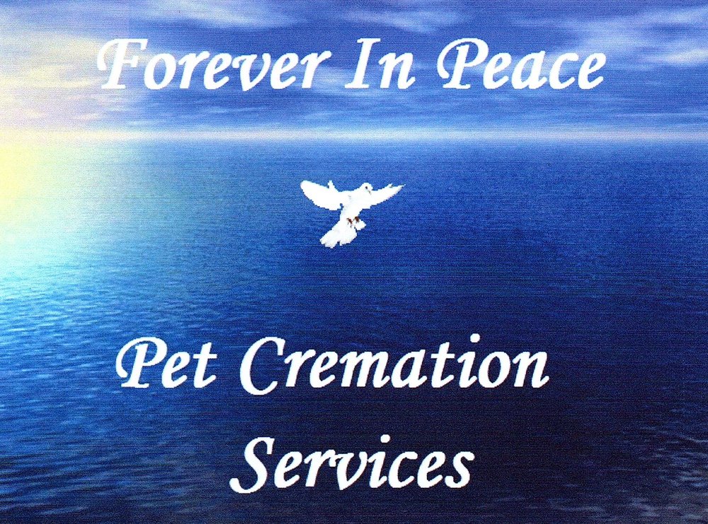 walmart neighborhood market dog food