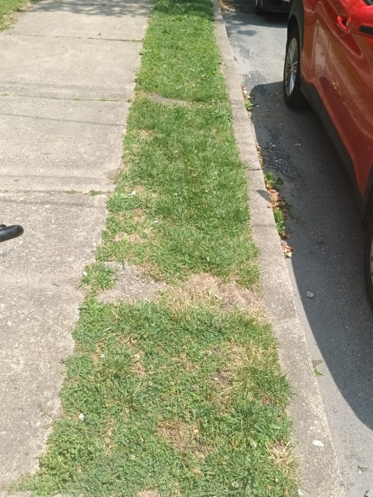 Slide of Caleb Landscaping