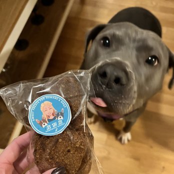 BHB Homemade Treats - a dog looking up at the camera - Desserts Near Me BHB Homemade Treats - a dog looking up at the camera - Desserts Near Me