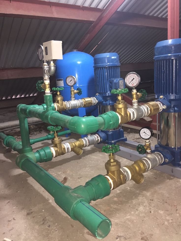 Slide of Root Runner