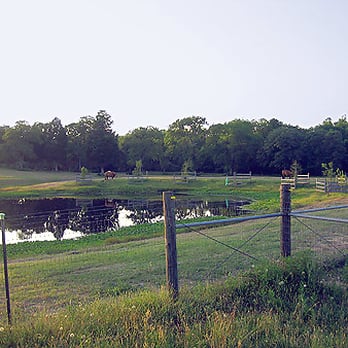 Bit By Bit Farms - Horseback Riding Near Me - Elgin, Texas