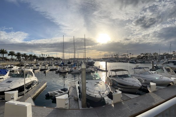 Marina Del Rey Marina by null