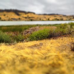 Massacre Rocks State Park - Snake River...Sagebrush and grassland...