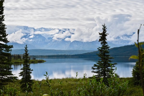 Denali Backcountry Lodge by null