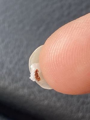 2tarts Bakery by null