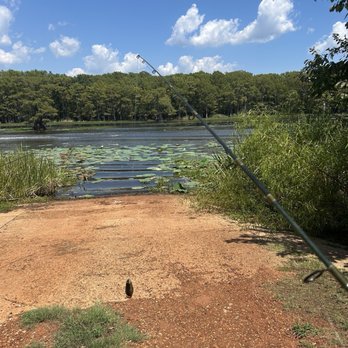 Caddo Lake Hideaway - Vacation Rentals Near Me - Karnack, Texas