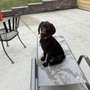 Photo of Northwest Veterinary Hospital
