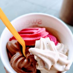 sweetFrog Premium Frozen Yogurt - Chocolate, raspberry pomegranate & peanut butter