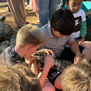 Kids Reptile Parties - Reptile party - Party & Event Planning Near Me Kids Reptile Parties - Reptile party - Party & Event Planning Near Me