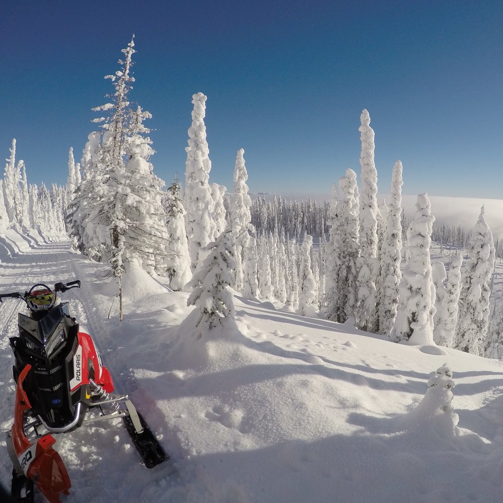 Northwest Montana Adventures - Beautiful day on the trail! - ATV Rentals/Tours Near Me - Olney, Montana Northwest Montana Adventures - Beautiful day on the trail! - ATV Rentals/Tours Near Me - Olney, Montana