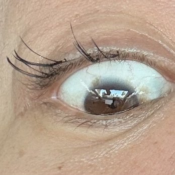 Wispy Lash Bar & Esthetics - 2nd week - Eyelash Service Near Me - Pleasant Hill, California Wispy Lash Bar & Esthetics - 2nd week - Eyelash Service Near Me - Pleasant Hill, California