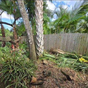 Gladiator Landscaping and Tree Service - Trees that were to be removed and yard waste to be hauled away per contract and was intentionally left even though i paid for the service. - Landscaping Near Me