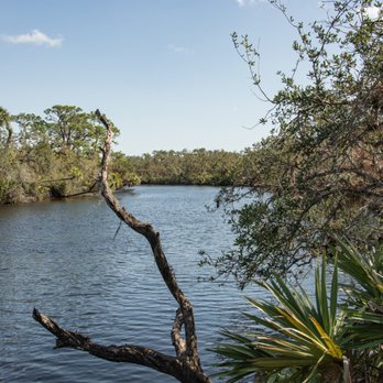 Jelks Preserve - Myakka River - Parks Near Me - Venice, Florida Jelks Preserve - Myakka River - Parks Near Me - Venice, Florida
