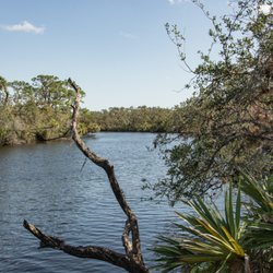 Jelks Preserve - Myakka River