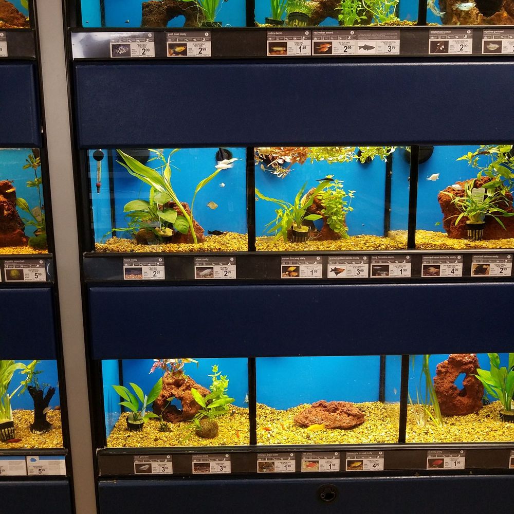 Petco - Pet Stores Near Me - Oceanside, California Petco - Pet Stores Near Me - Oceanside, California