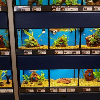 Petco - Pet Stores Near Me - Oceanside, California Petco - Pet Stores Near Me - Oceanside, California