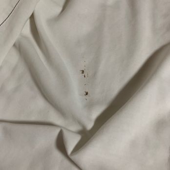 Budget Inn - Dead bugs in the bed - Hotels Near Me - Hayti, Missouri Budget Inn - Dead bugs in the bed - Hotels Near Me - Hayti, Missouri
