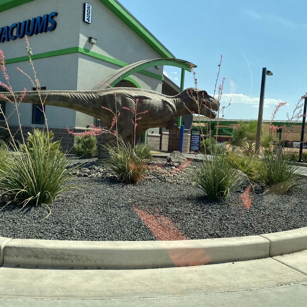 Dino Dash Car Wash - Local wildlife - Car Wash Near Me - St. George, Utah Dino Dash Car Wash - Local wildlife - Car Wash Near Me - St. George, Utah