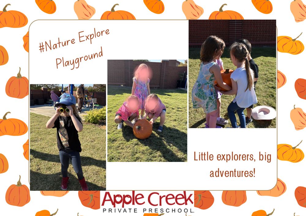 Apple Creek Private Preschool - childcare center in Frisco, TX